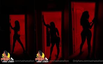sashastallion 102888346 2021 02 01 enjoy  (sashastallion)