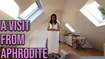 A Visit From Aphrodite (Summer Fox)