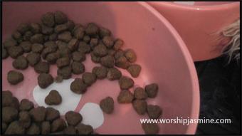 Worship Jasmine Caged Whilst She Lives Your Life 1080P (Worship Goddess Jasmine)