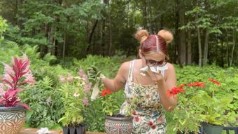 Gardening Interrupted by Sneezing and Nose Blowing (SneezeGoddess)