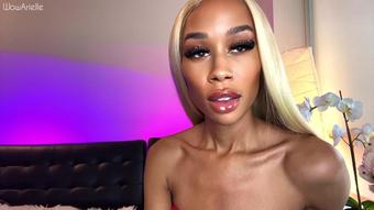 WowArielle - Face Focused Obedience Training (WowArielle)