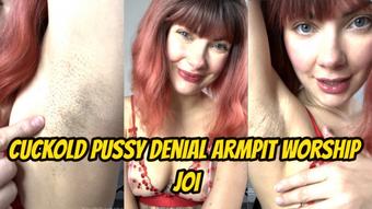Cuckold Pussy Denial Armpit Worship JOI - October 23, 2024 (Yourhikerbabe)