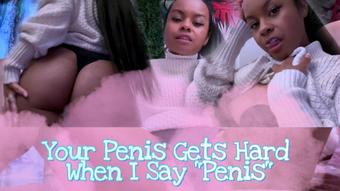 Your Penis Gets Hard When I Say Penis (Sweetbabyvixxi)
