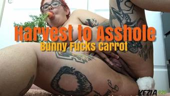 Kezia420 Harvest To Asshole Bunny Fucks Carrot (kezia420)