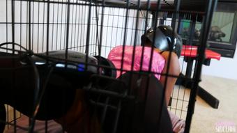 Subbiecupcake Submissive Strapped Made To Cum (SubbieCupcake)