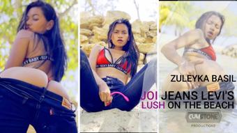 JOI JEANS LEVIS LUSH ON THE BEACH (zuleyka basil)