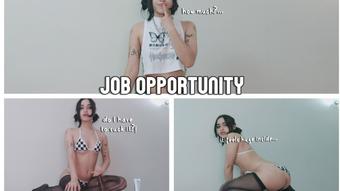 Irooochan Job Opportunity (irooochan)